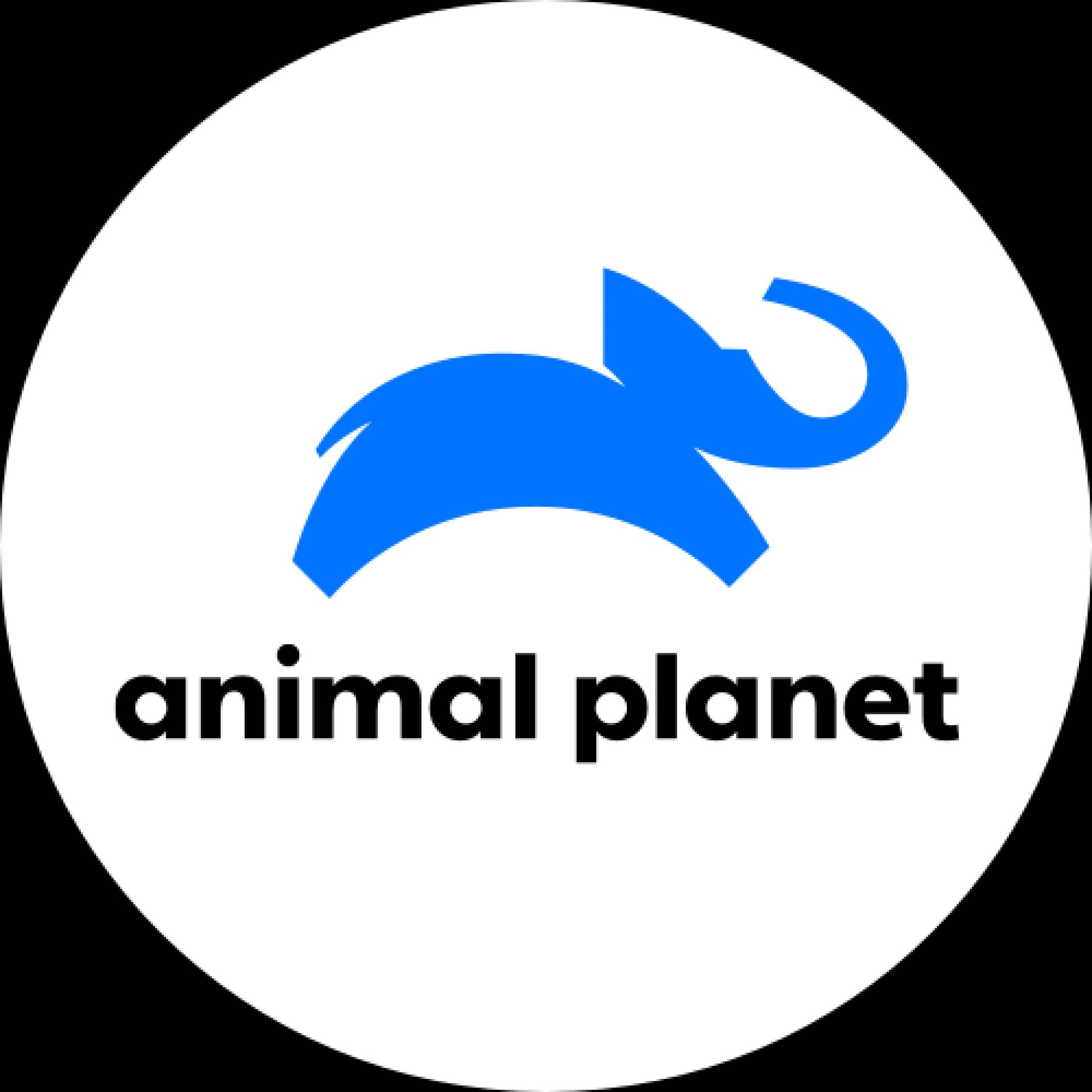 Animal Planet | Networks | discovery+ Animal Planet | Networks | discovery+